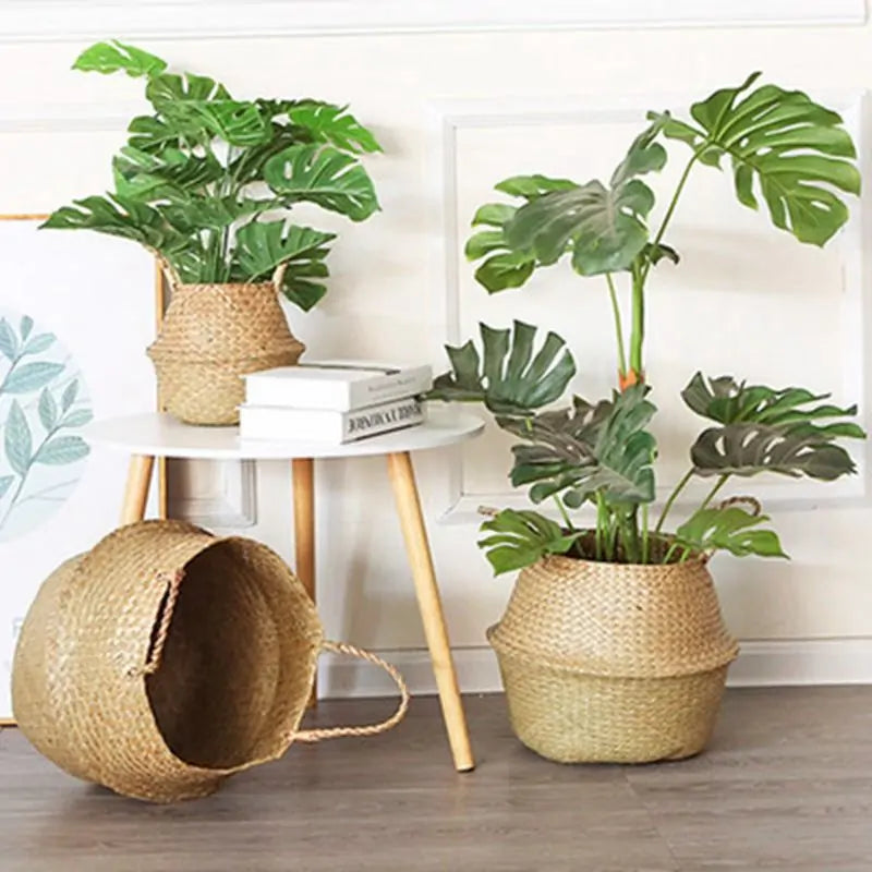 Natural Serenity: Handwoven Seagrass Hanging Planter Basket