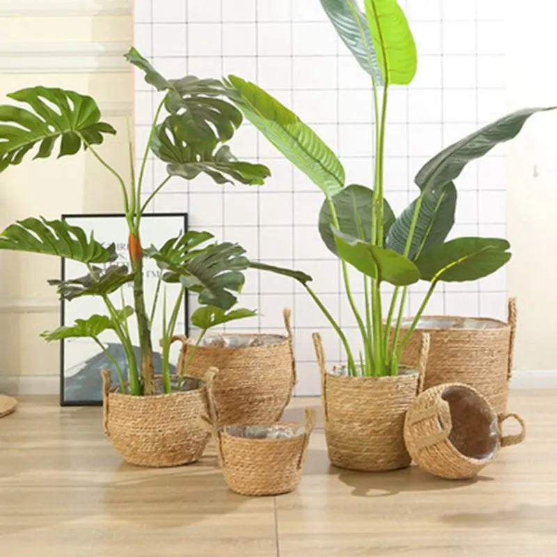 Natural Serenity: Handwoven Seagrass Hanging Planter Basket